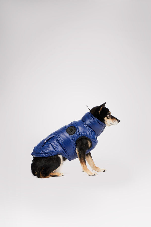 Pajar Canada Theo Reversible Puffer For Dogs