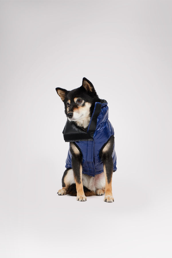 Pajar Canada Theo Reversible Puffer For Dogs