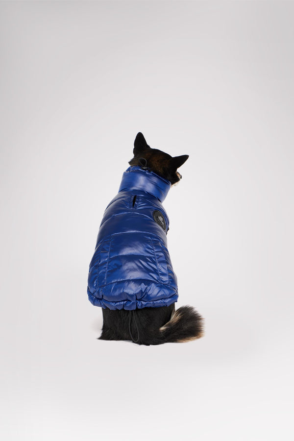 pajar canada Theo Reversible Puffer for Dogs