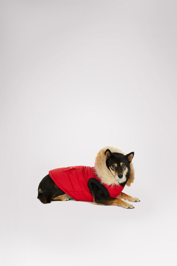 Pajar Canada Toby Jacket For Dogs