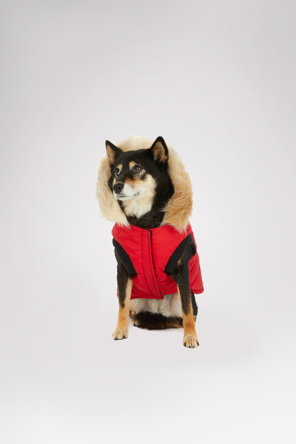 Pajar Canada Toby Jacket For Dogs