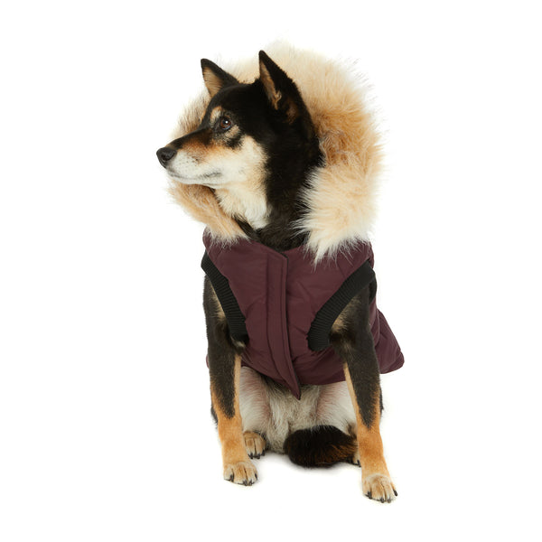 Pajar Canada Toby Jacket For Dogs