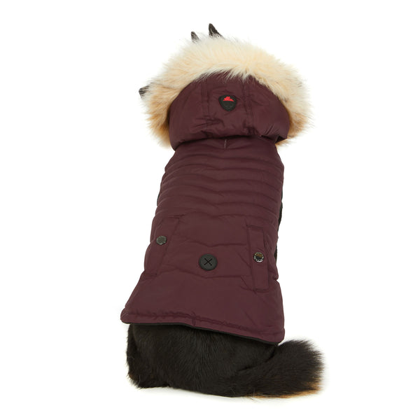 Pajar Canada Toby Jacket For Dogs
