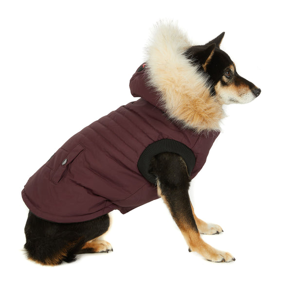 pajar canada Toby Jacket for Dogs