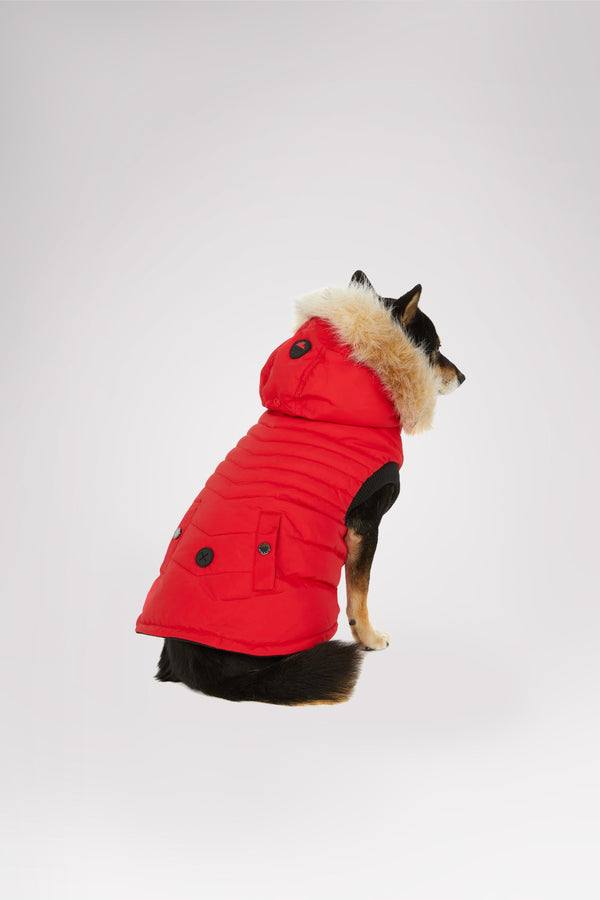 pajar canada Toby Jacket for Dogs