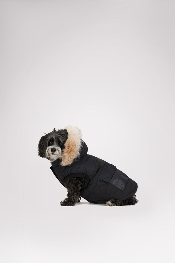 Pajar Canada Zeus Jacket For Dogs W/Faux Fur Trim
