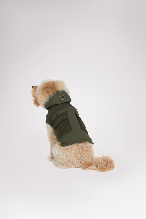 Pajar Canada Zeus Jacket For Dogs W/Faux Fur Trim