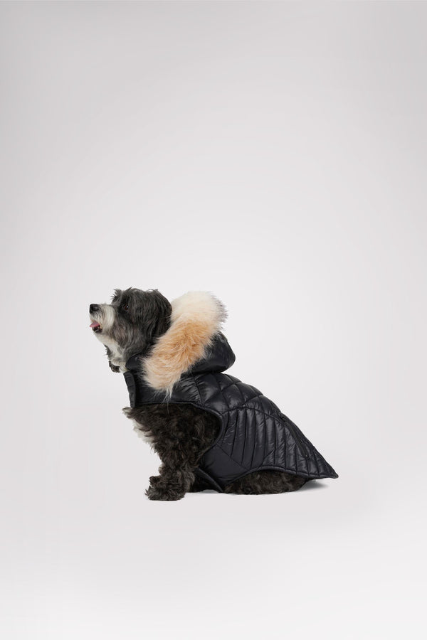 Pajar Canada Zola Jacket For Dogs W/Faux Fur Trim