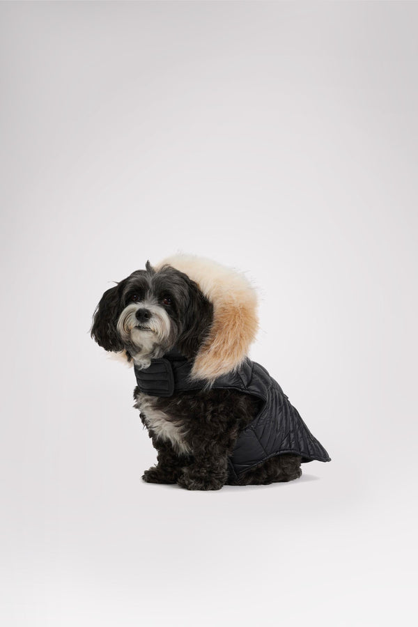 Pajar Canada Zola Jacket For Dogs W/Faux Fur Trim