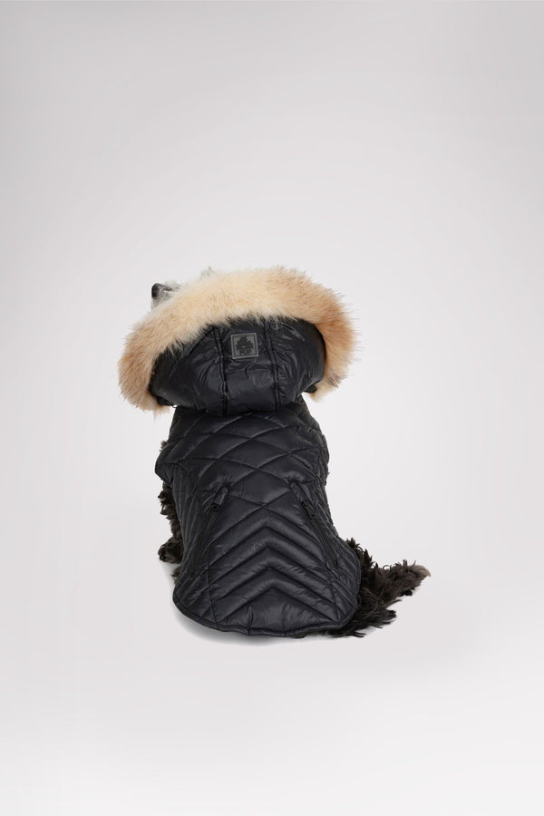 pajar canada Zola Jacket for Dogs w/Faux Fur Trim