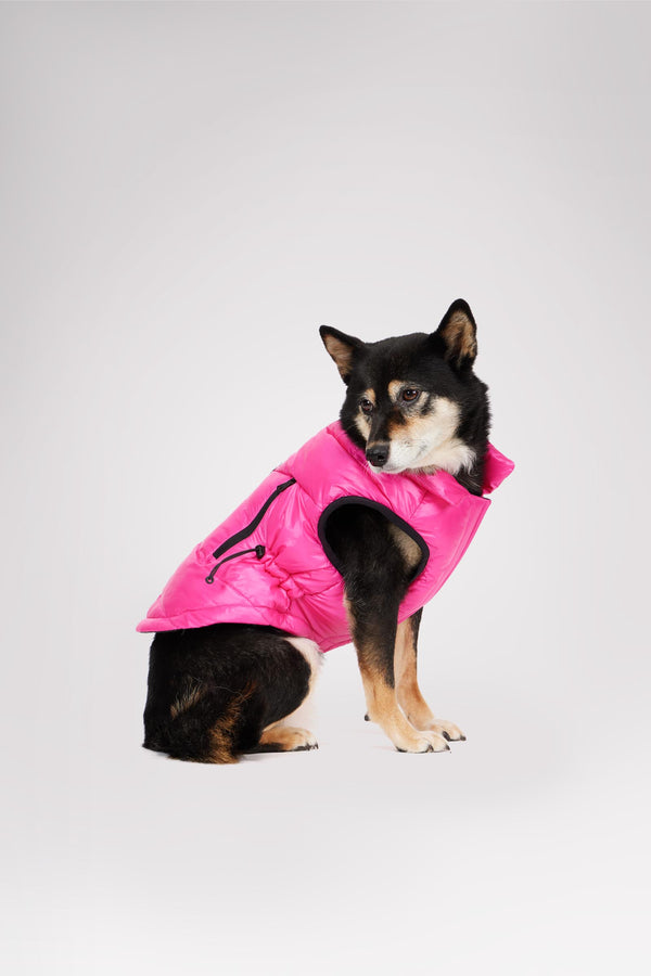Pajar Canada Rosie Quilted Coat W/cinched Waist For Dogs