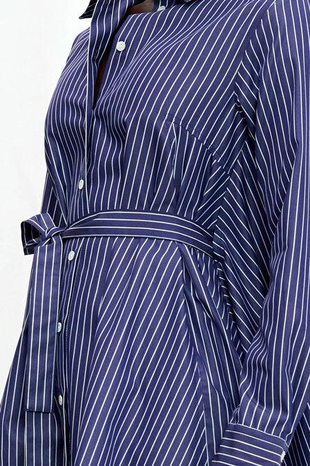 Palmer Harding Prosperity Dress Navy Striped Cotton A-line Dress