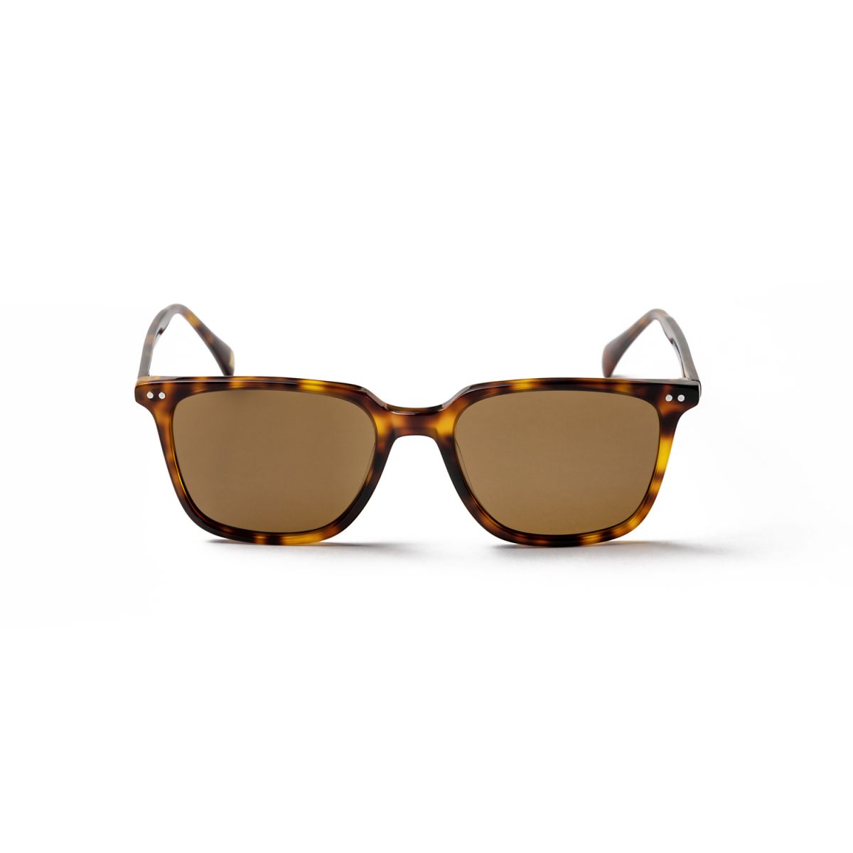 Paloalto Sunglasses LEROS