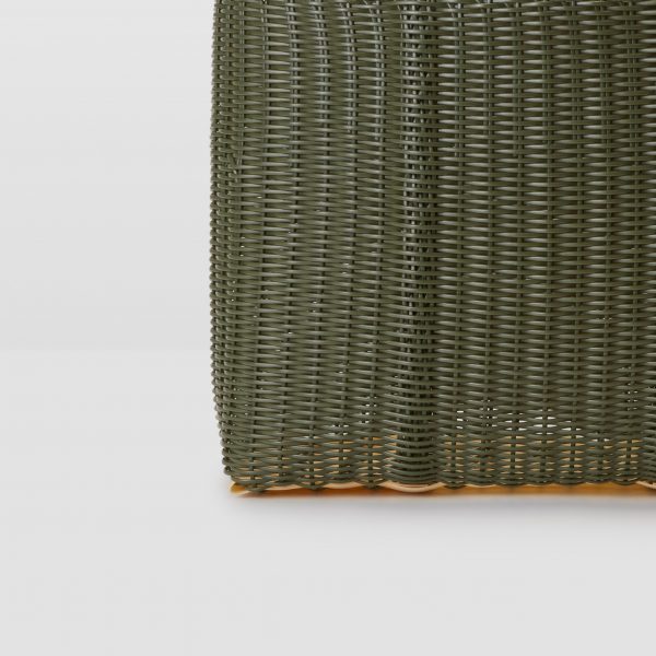 Palorosa Cactus Small Flat