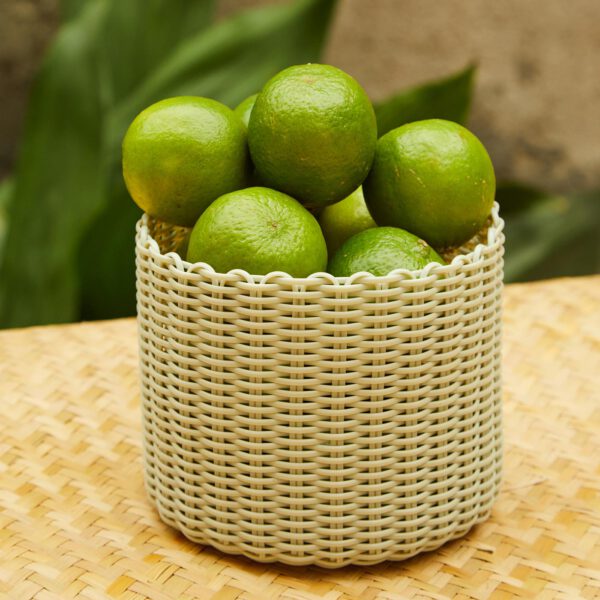 Palorosa Pot | Extra Small Palm