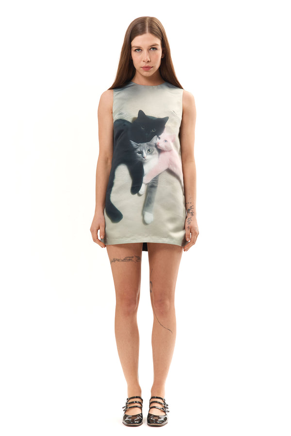 pam perks and mini KITTEN TRIO DRESS