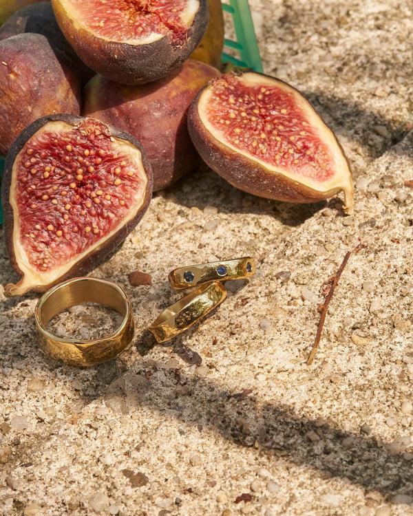 pamela love Caerus I Sapphire