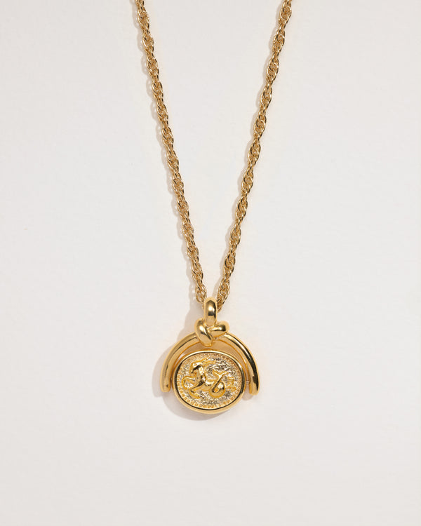 pamela love Capricorn Spinner Pendant