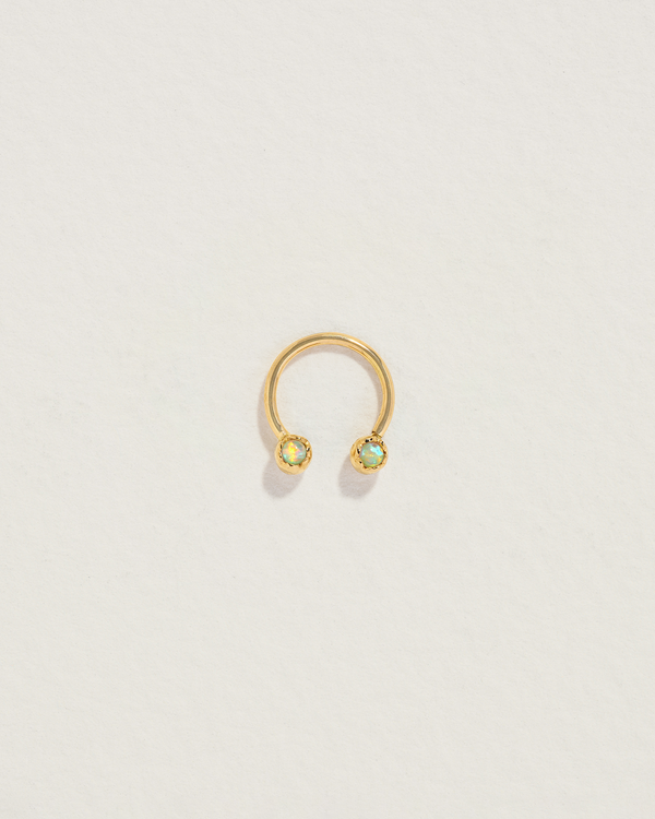 pamela love Circular Barbell