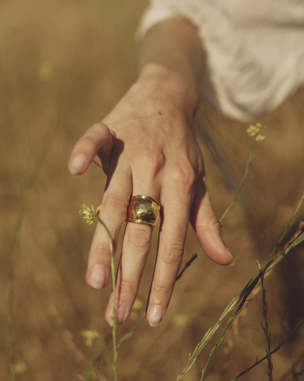 Pamela Love Hammered Radius Ring