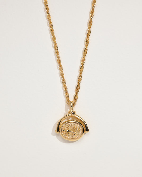 pamela love Leo Spinner Pendant