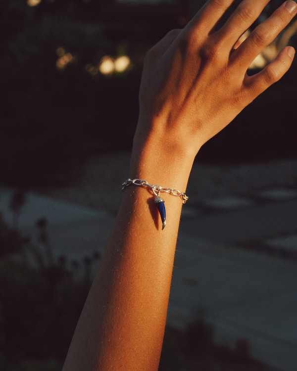 Pamela Love Long + Short Link Chain Bracelet