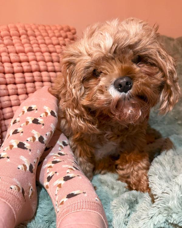 Pamela Mann Dog Bamboo Trainer Socks