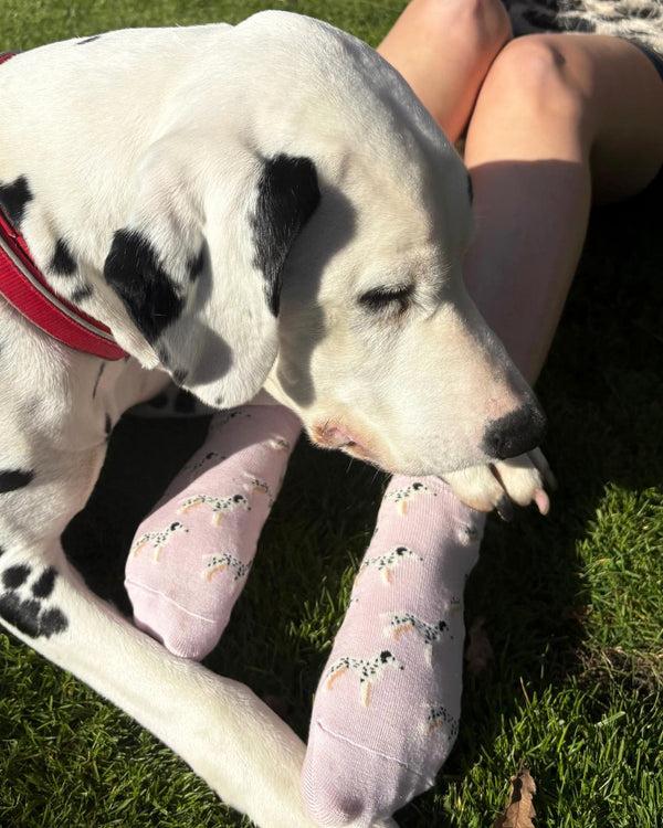 Pamela Mann Dog Bamboo Trainer Socks