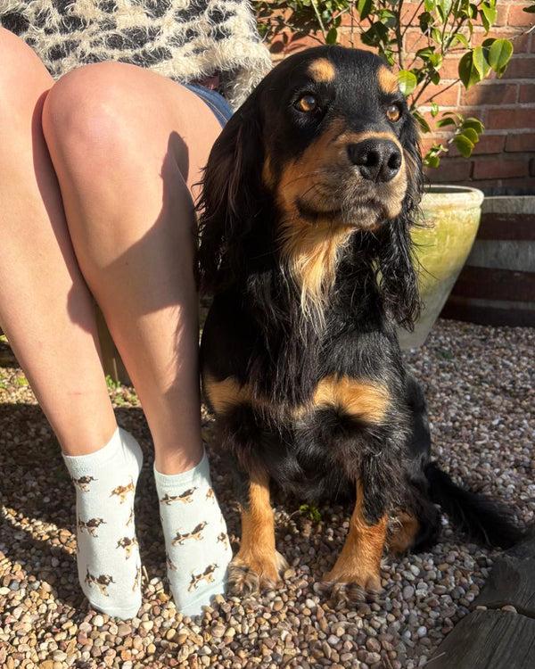 pamela mann Dog Bamboo Trainer Socks