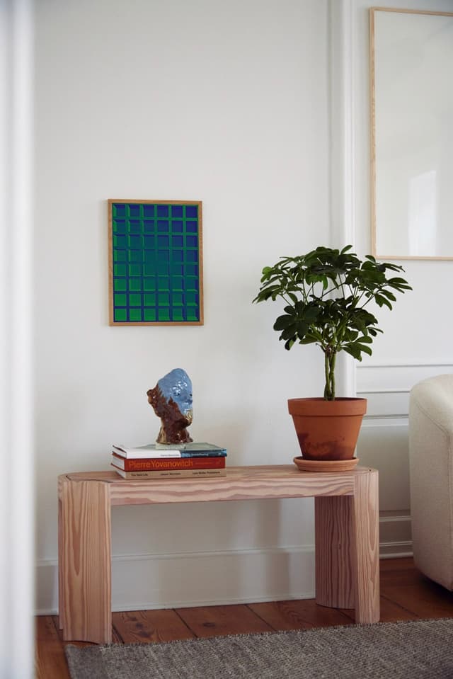 Paper Collective Absorb BG 01