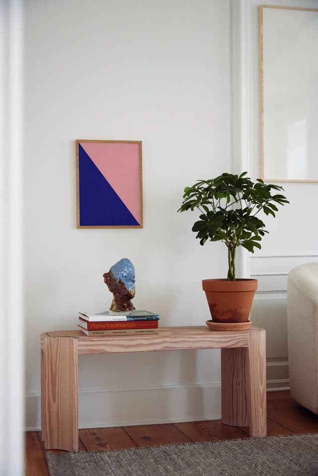 paper collective Absorb PB 02