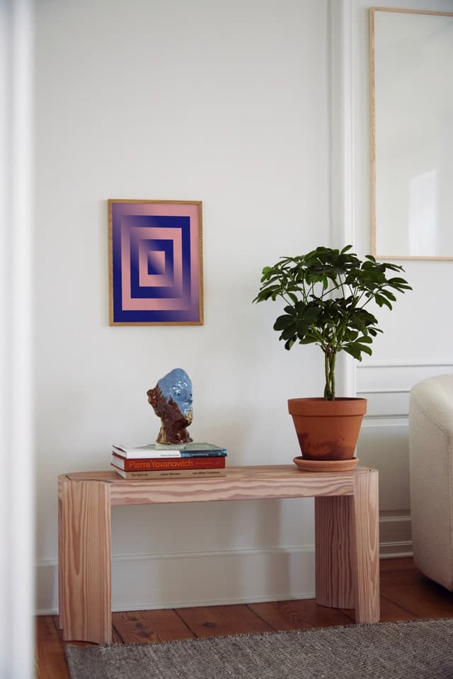 Paper Collective Absorb PB 06