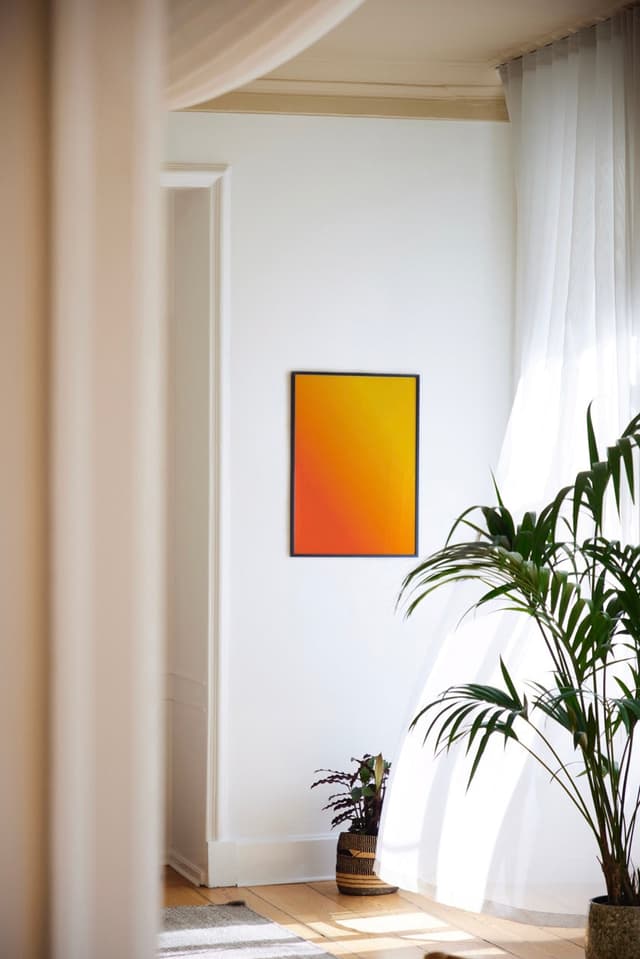 paper collective Absorb YO 03