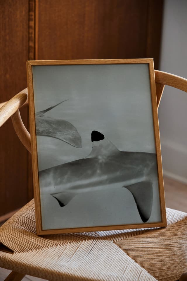 Paper Collective Abyssal