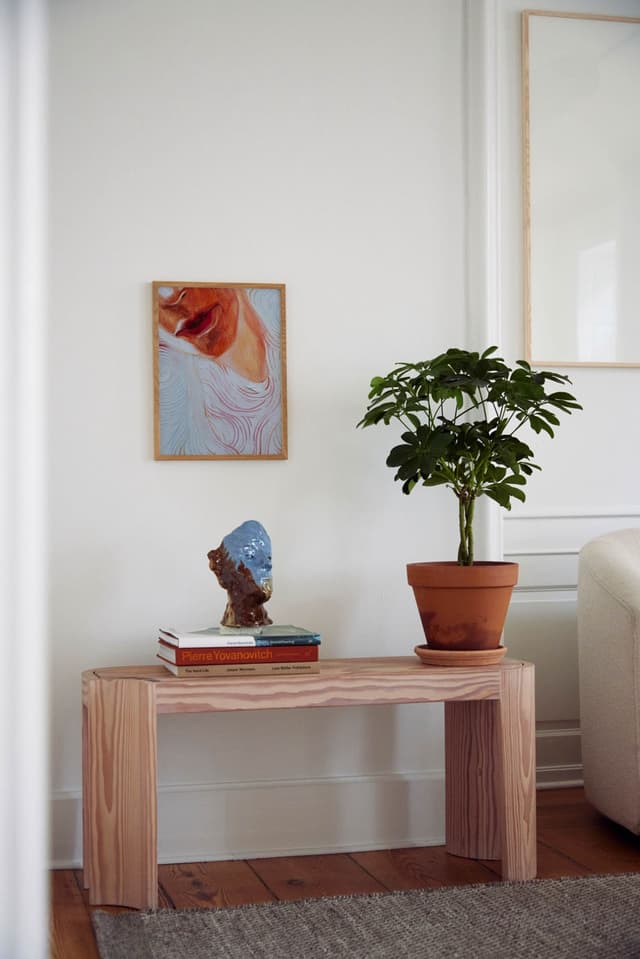 Paper Collective Fairy Floss