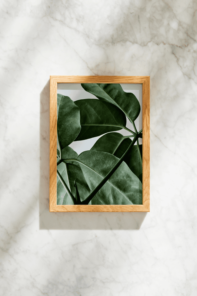 Paper Collective Green Home 01