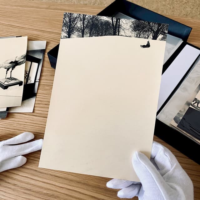 Paper Collective Hand And Shadow - Original