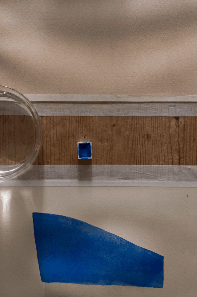 Paper Collective Long Hair