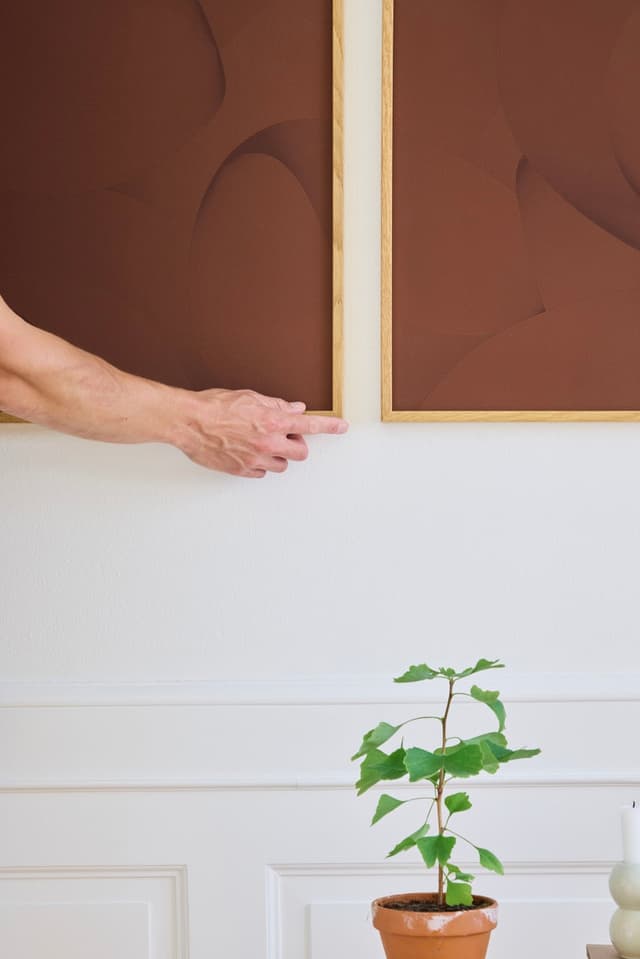 paper collective Ovata Linework Dark 01