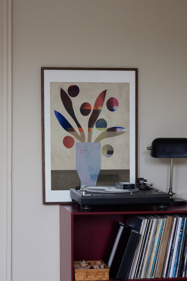 paper collective Sanseviera