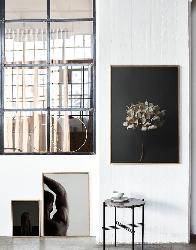 paper collective Still Life 04 - Hydrangea