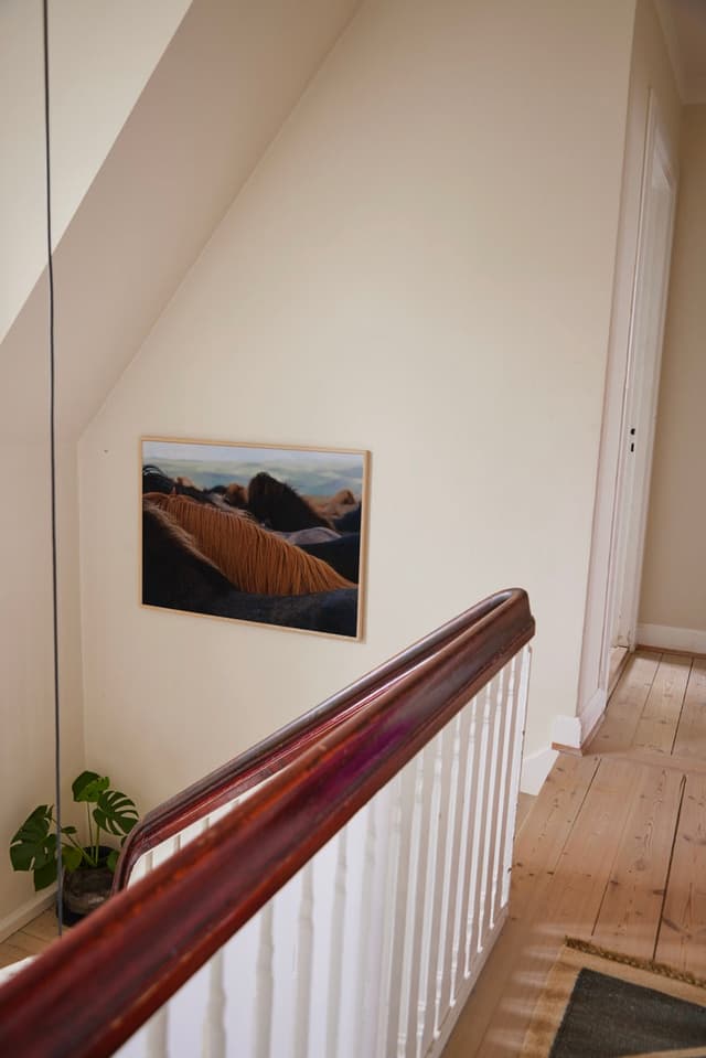 Paper Collective The Herd 01