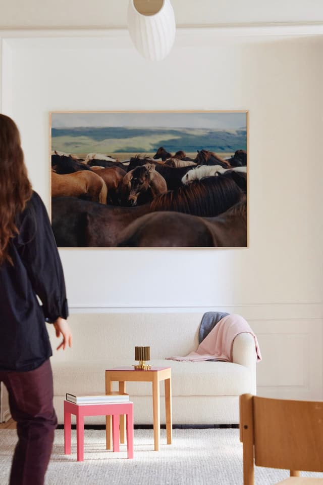 paper collective The Herd 02