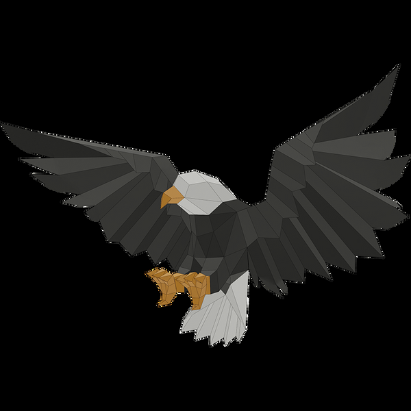 Papercraft World Eagle Wall Art