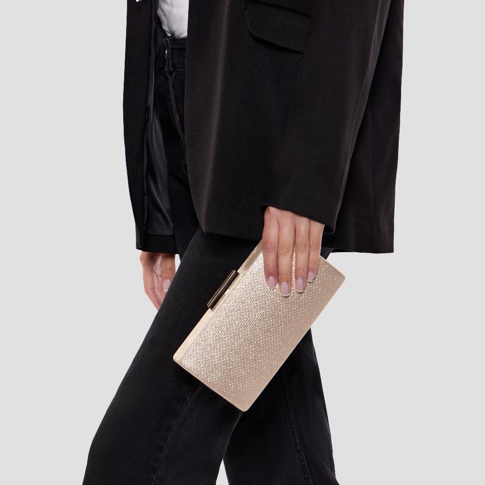 Paradox London Dahliana Clutch Bag Champagne Shimmer Box Clutch Bag