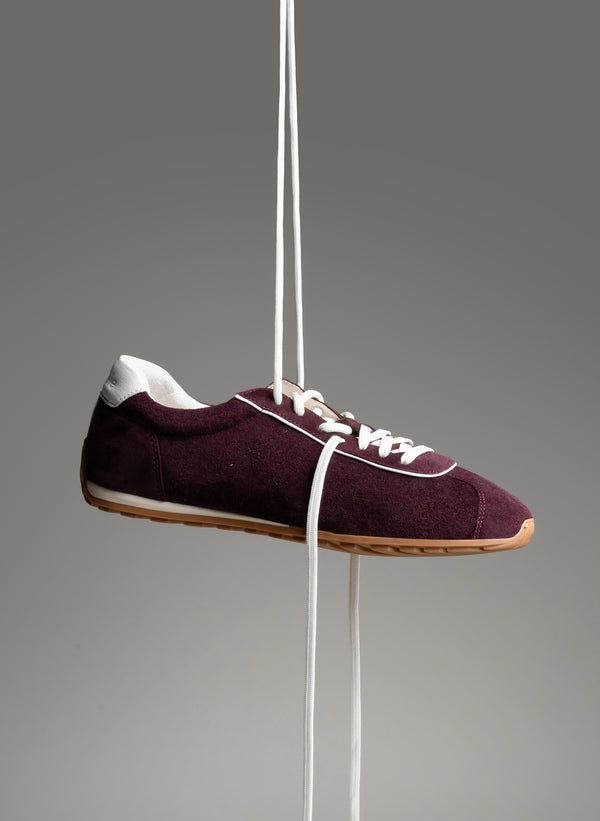 Parallèle BIRDY –