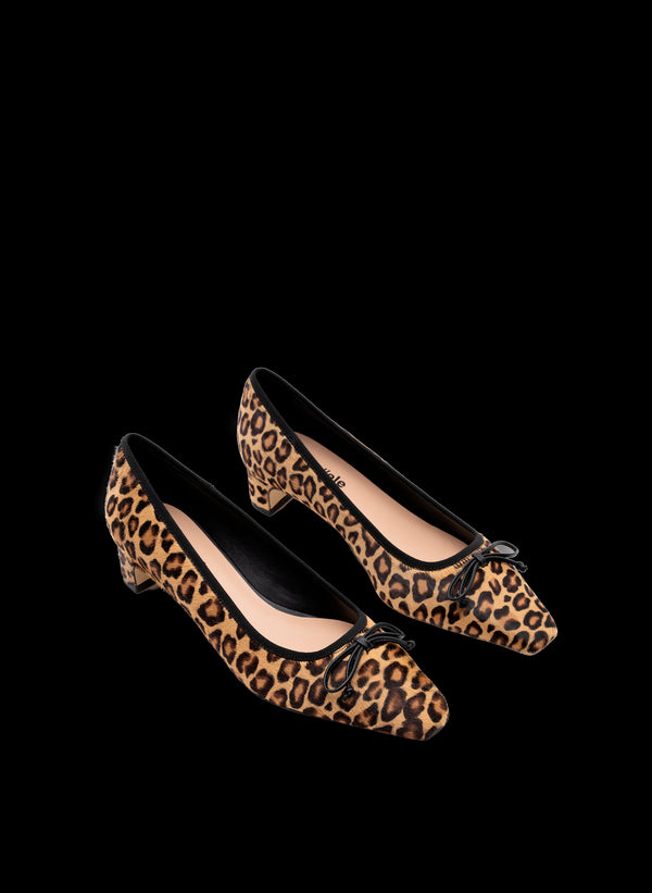 Parallèle CEDAR –