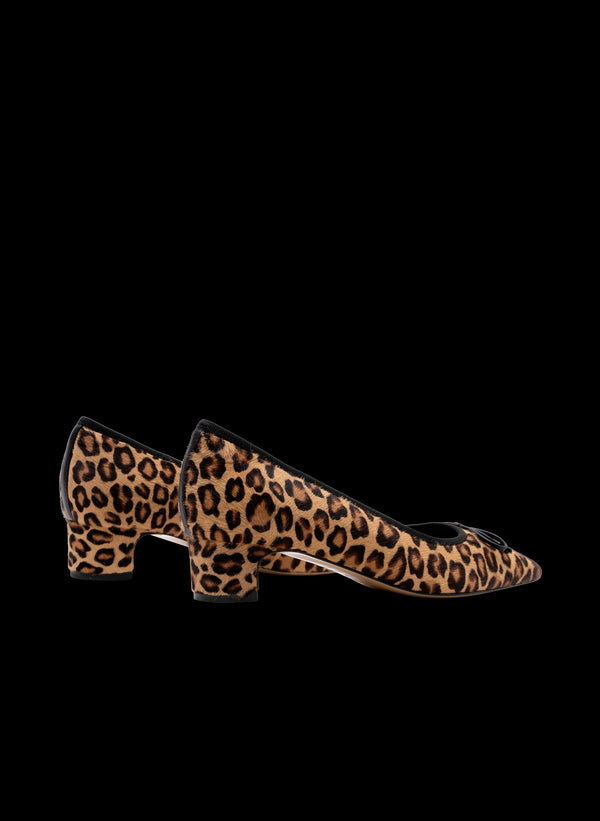 Parallèle CEDAR –