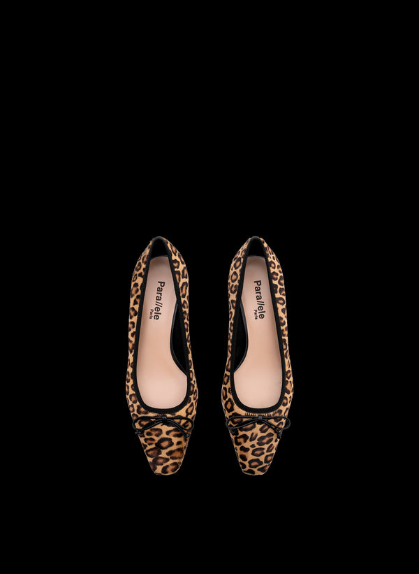 Parallèle CEDAR –