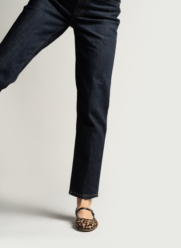 Parallèle DAKOTA –